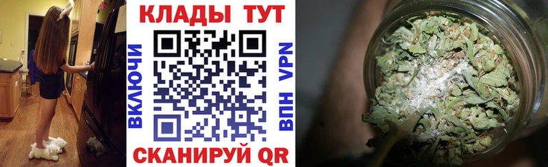 Купить закладку Конопля Cocaine APVP МЕФ Новоржев