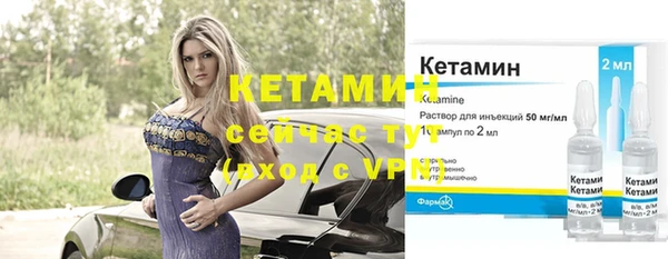 сатива Каменногорск