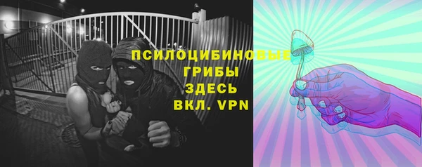 сатива Каменногорск