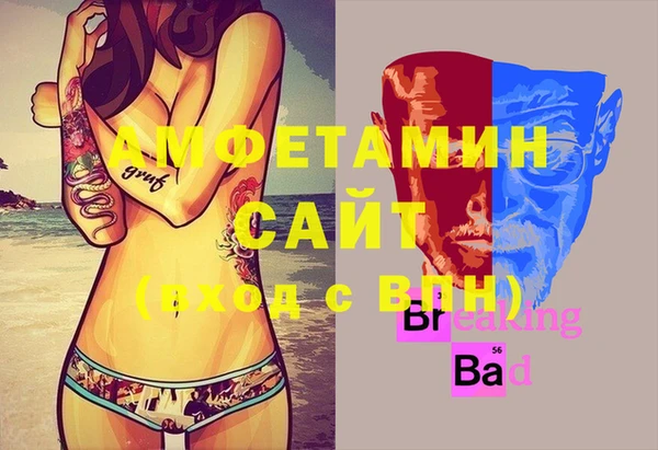 сатива Каменногорск