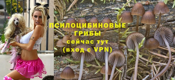 MDMA Каменка