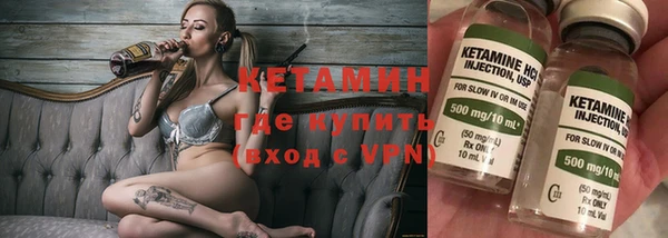 сатива Каменногорск