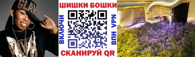 Купить закладки Новоржев Конопля SATIVA & INDICA